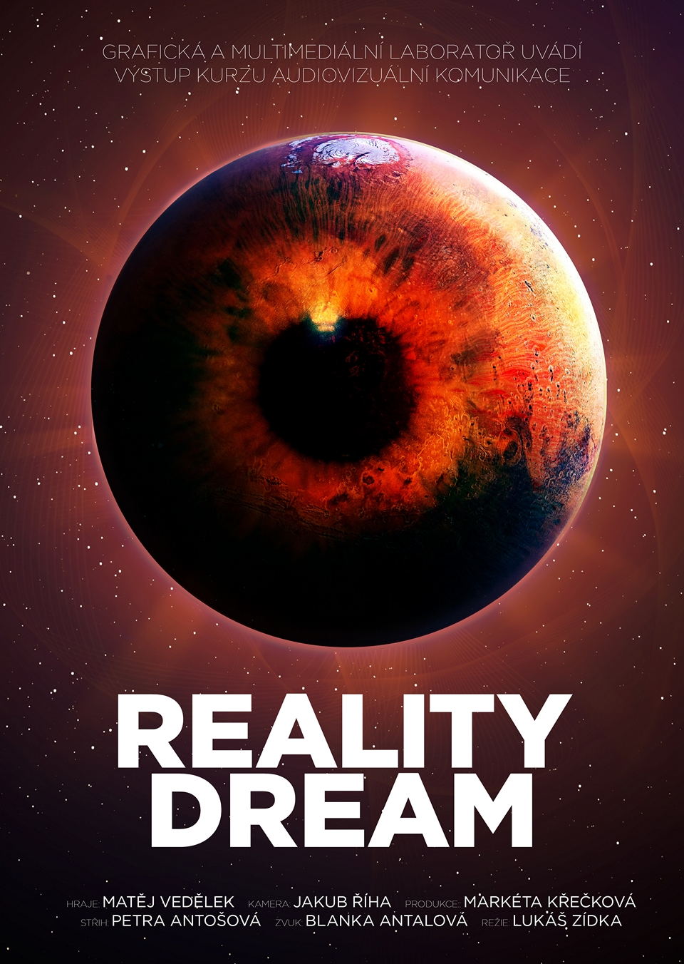 Reality dream poster
